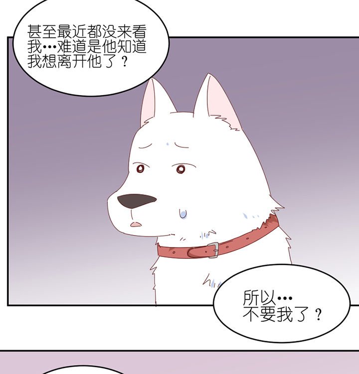 第63章：一波未平一波又起