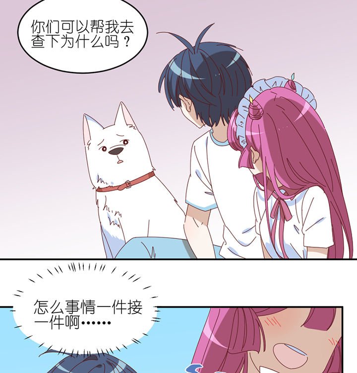 第63章：一波未平一波又起