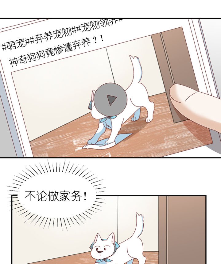第65章：放弃