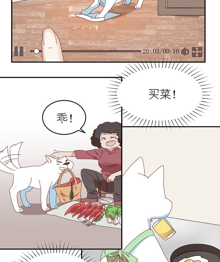 第65章：放弃