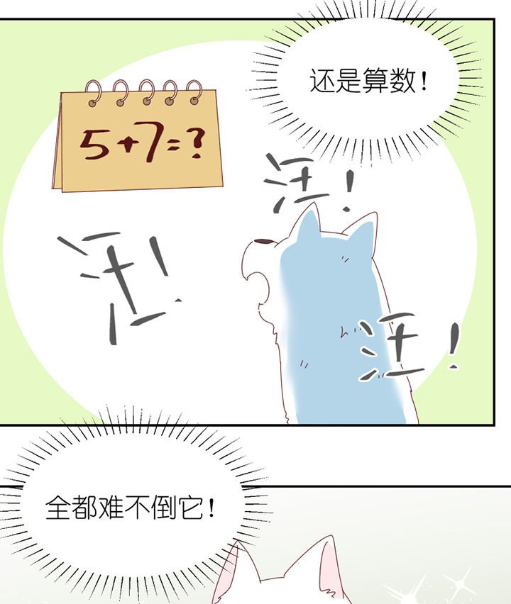 第65章：放弃