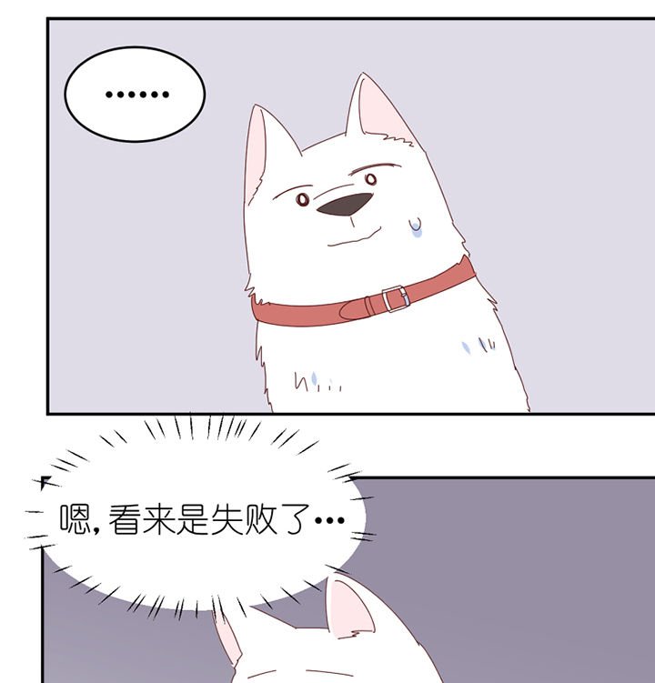 第66章：祸不单行