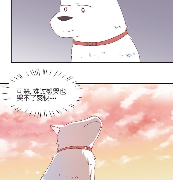 第66章：祸不单行