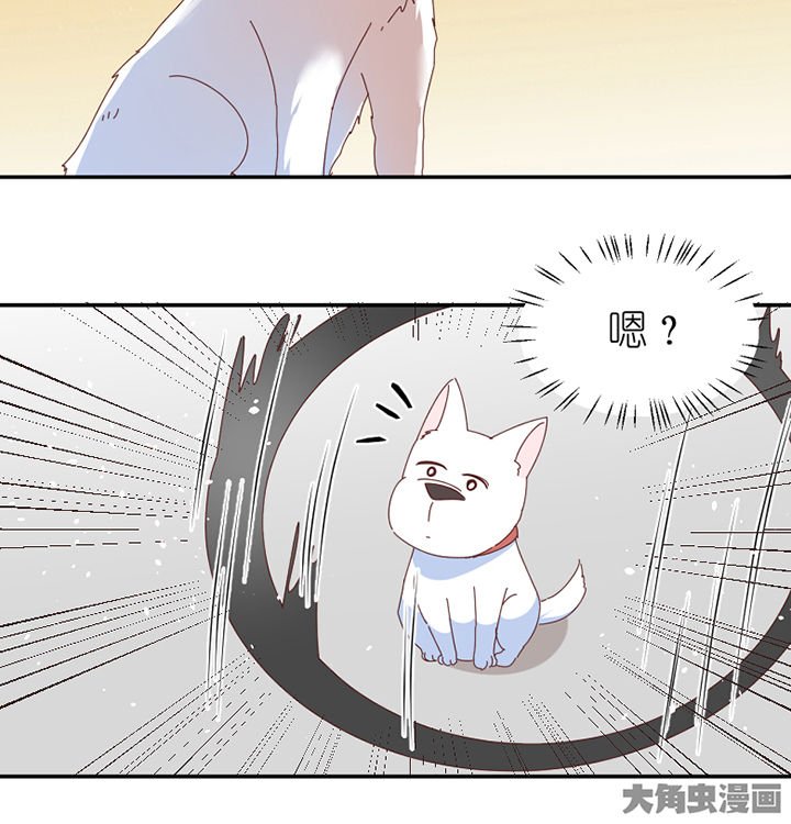 第66章：祸不单行