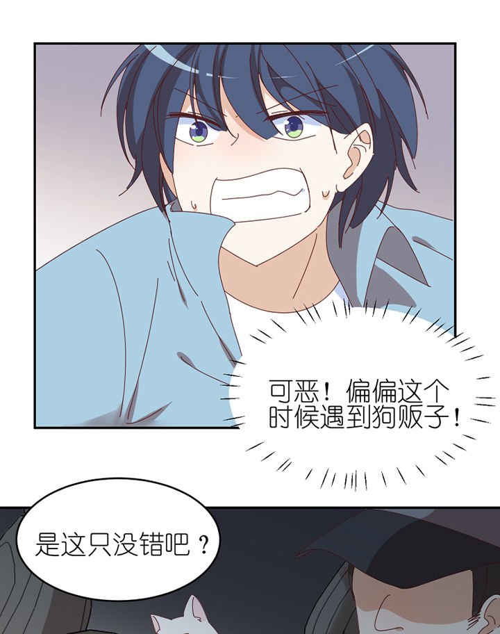 第66章：祸不单行