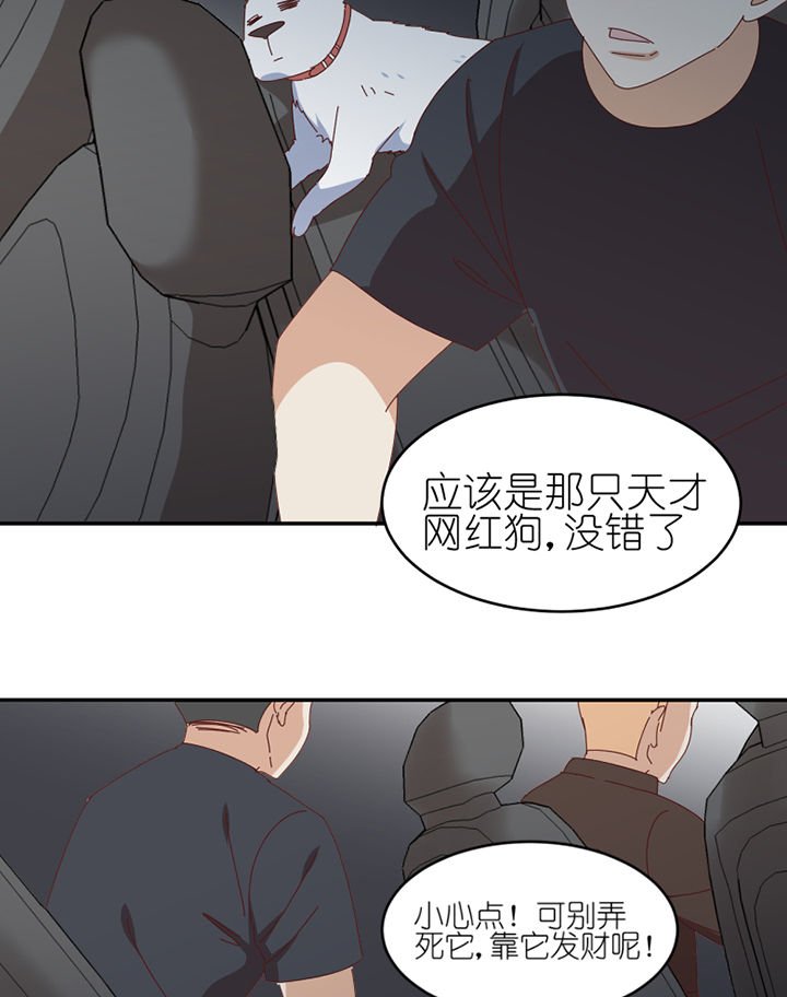 第66章：祸不单行