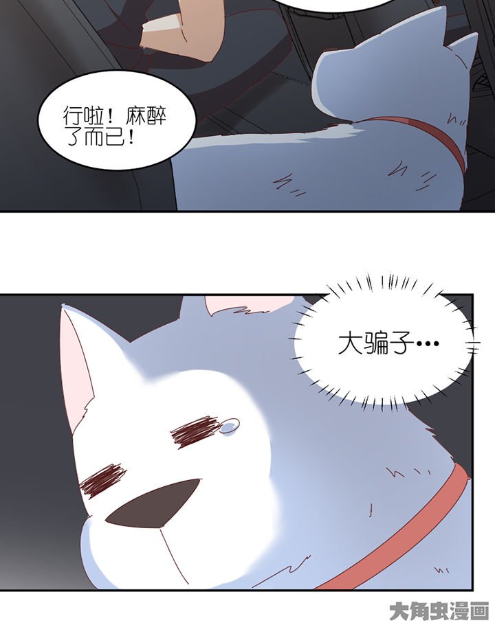 第66章：祸不单行