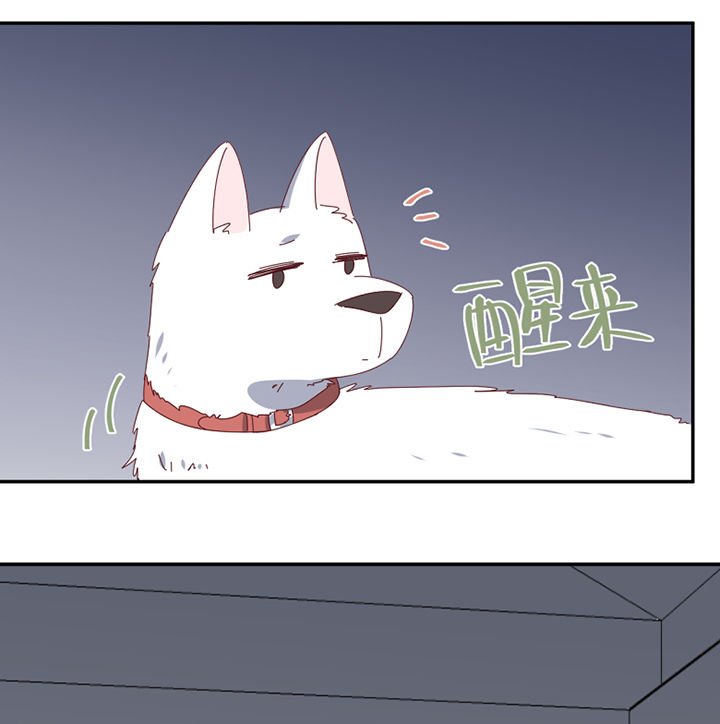 第67章：离开