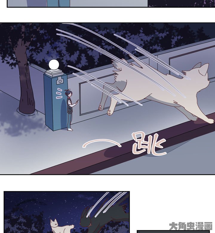 第77章：孟婆会议