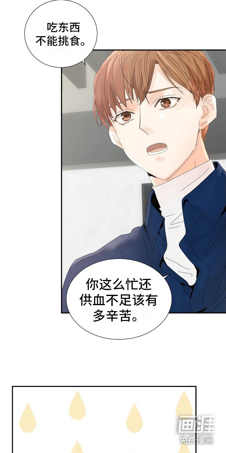 第11章：光环
