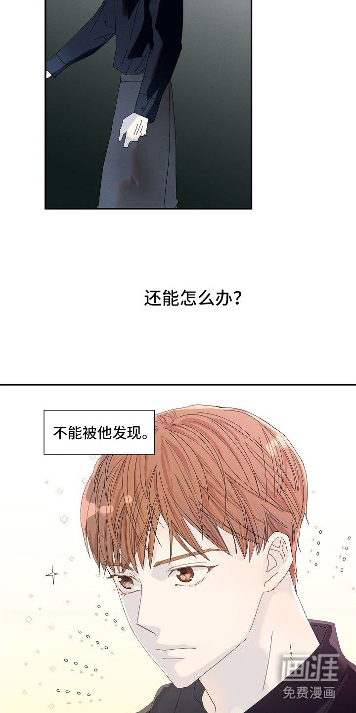 第11章：光环