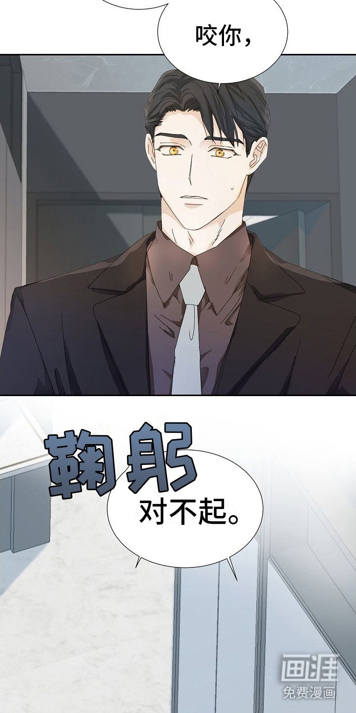 第18章：道歉