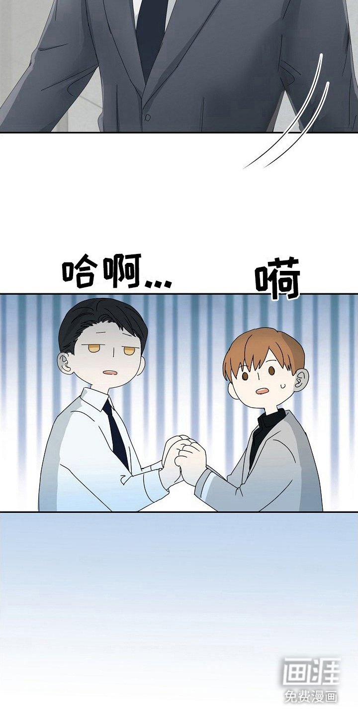 第20章：区别