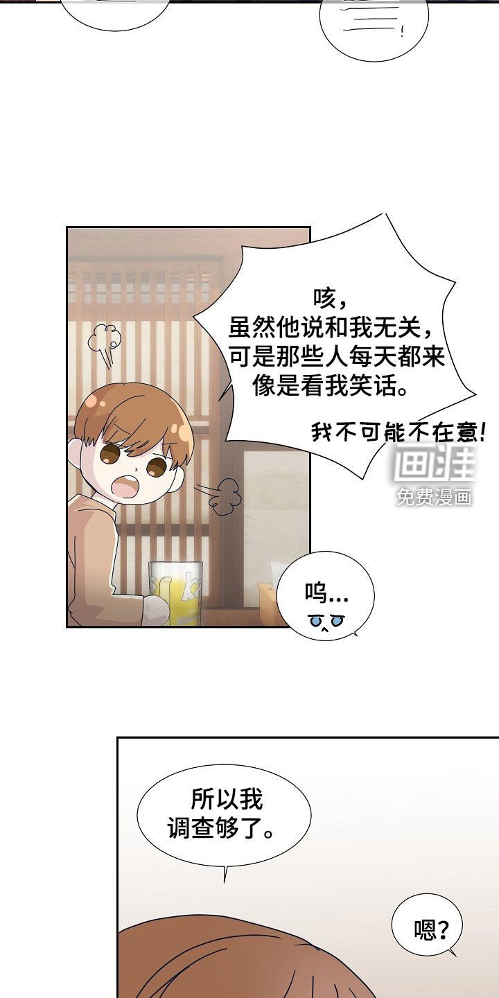 第28章：调查