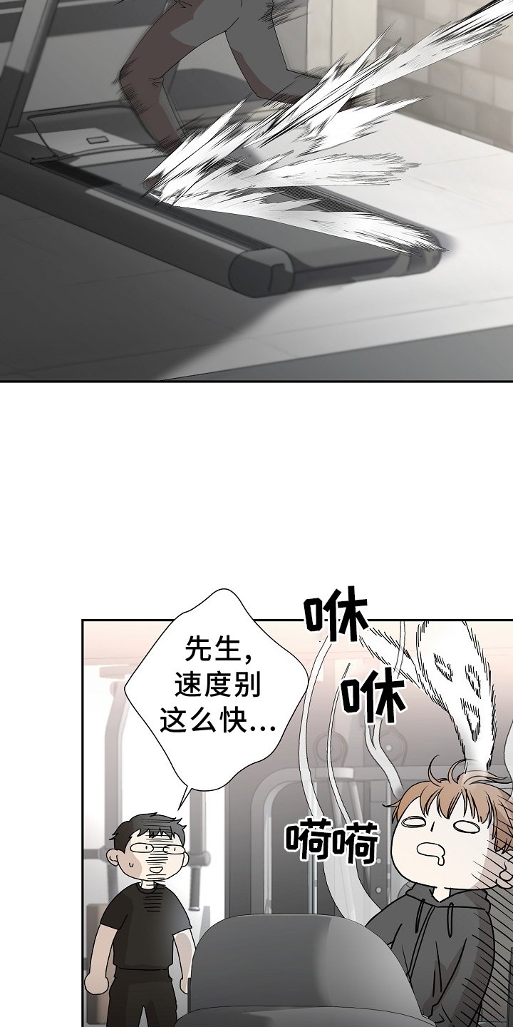 第33章：运动