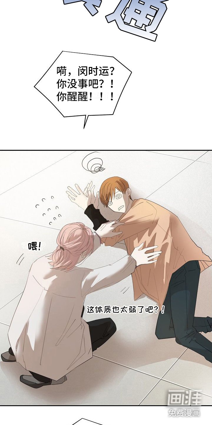 第4章：贫血