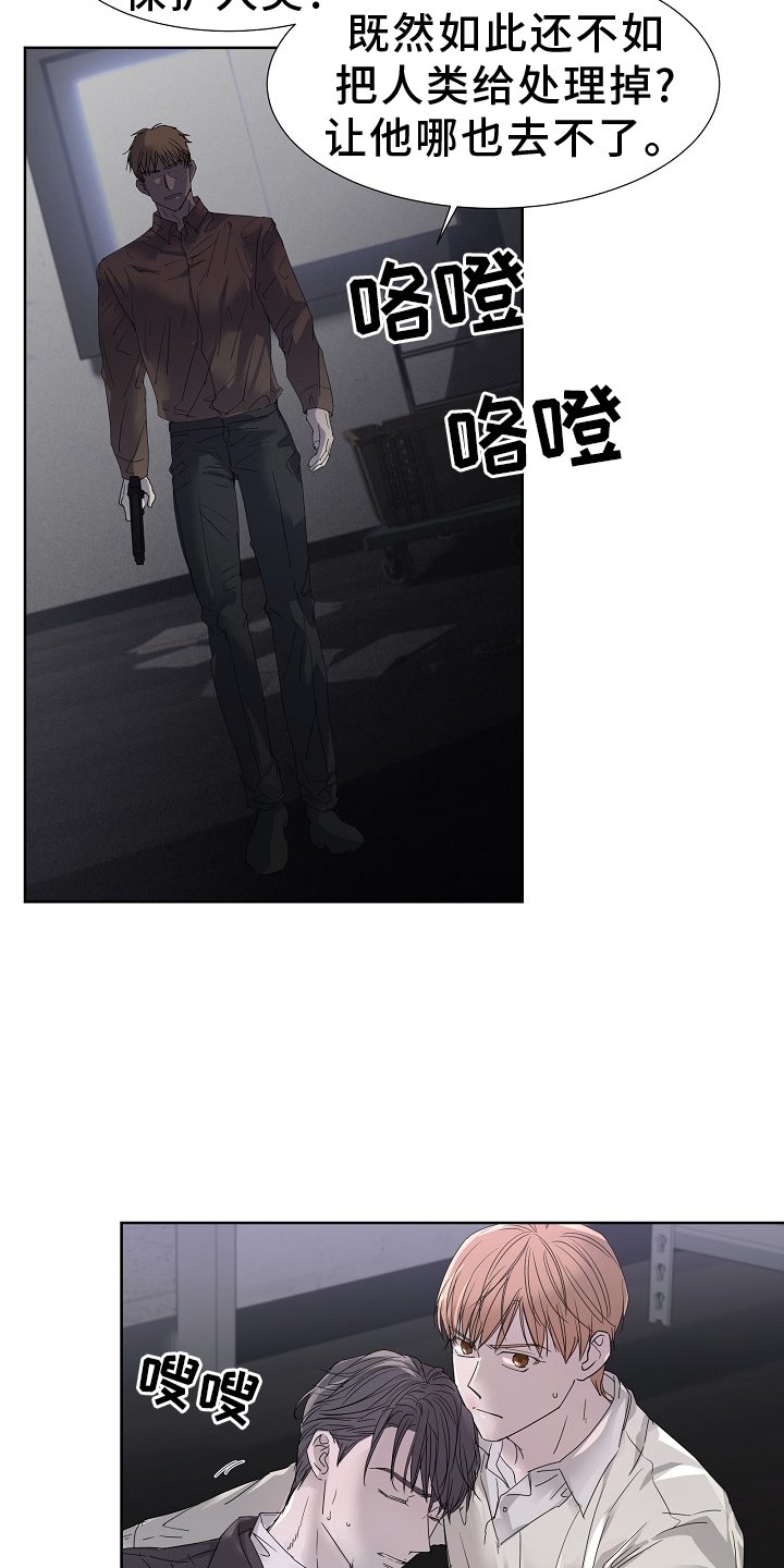 第44章：血液