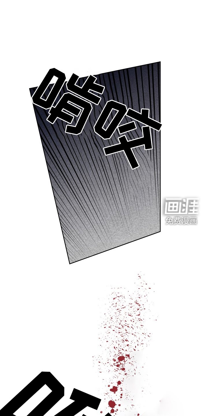 第44章：血液