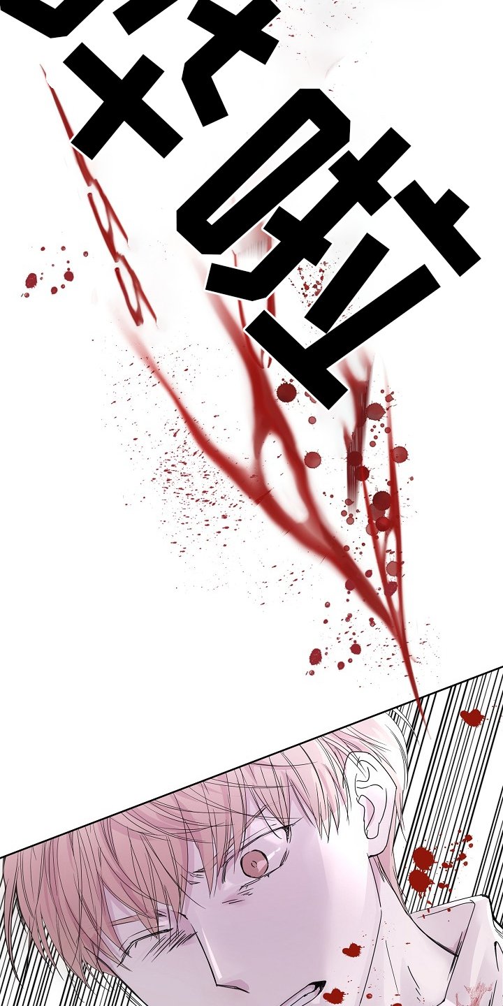 第44章：血液