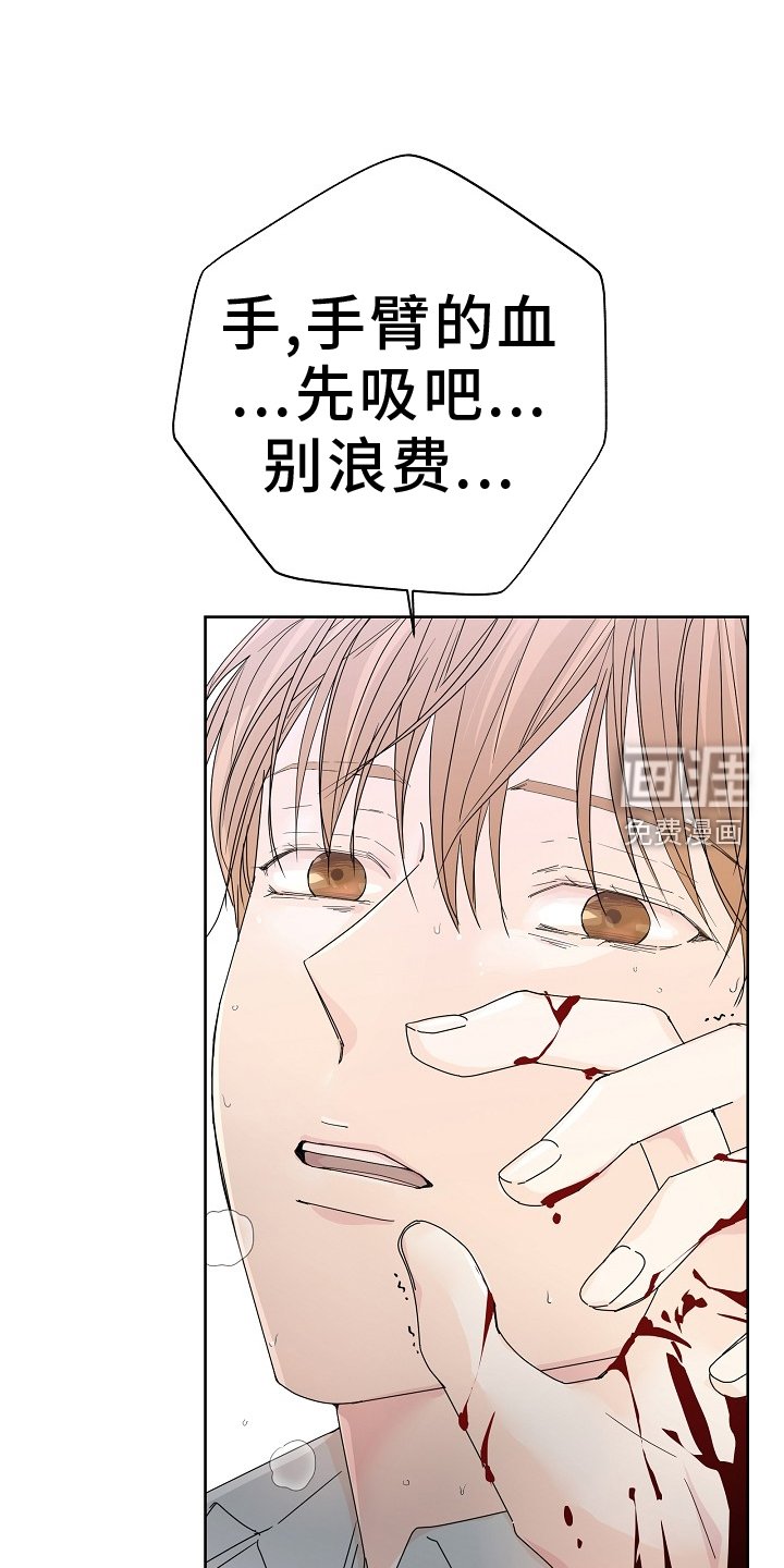 第45章：昏迷