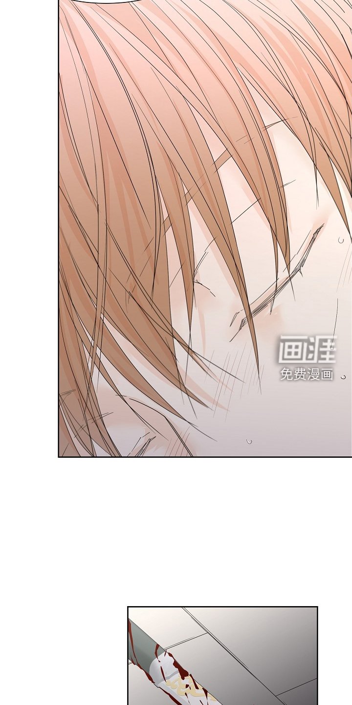 第45章：昏迷