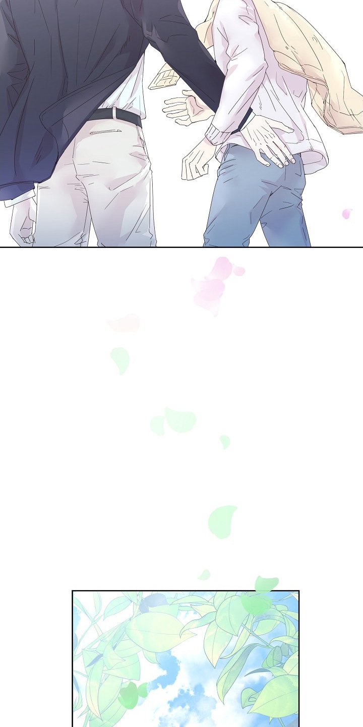 第48章：【完结】收尾