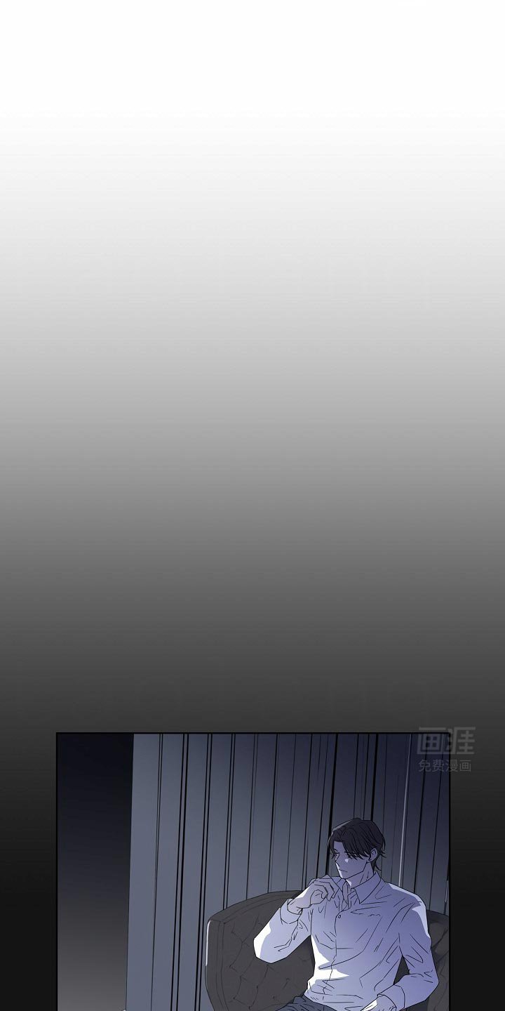 第53章：【番外】显而易见