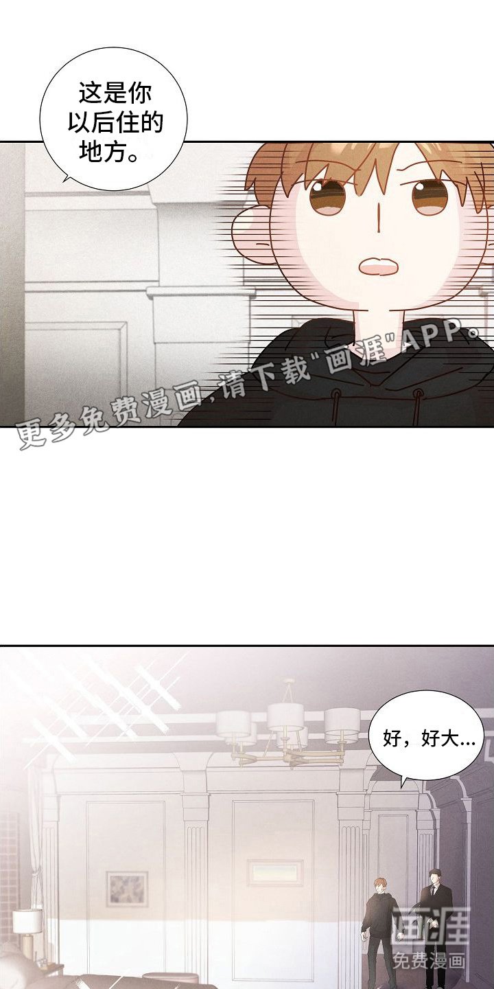 第6章： 配合治疗