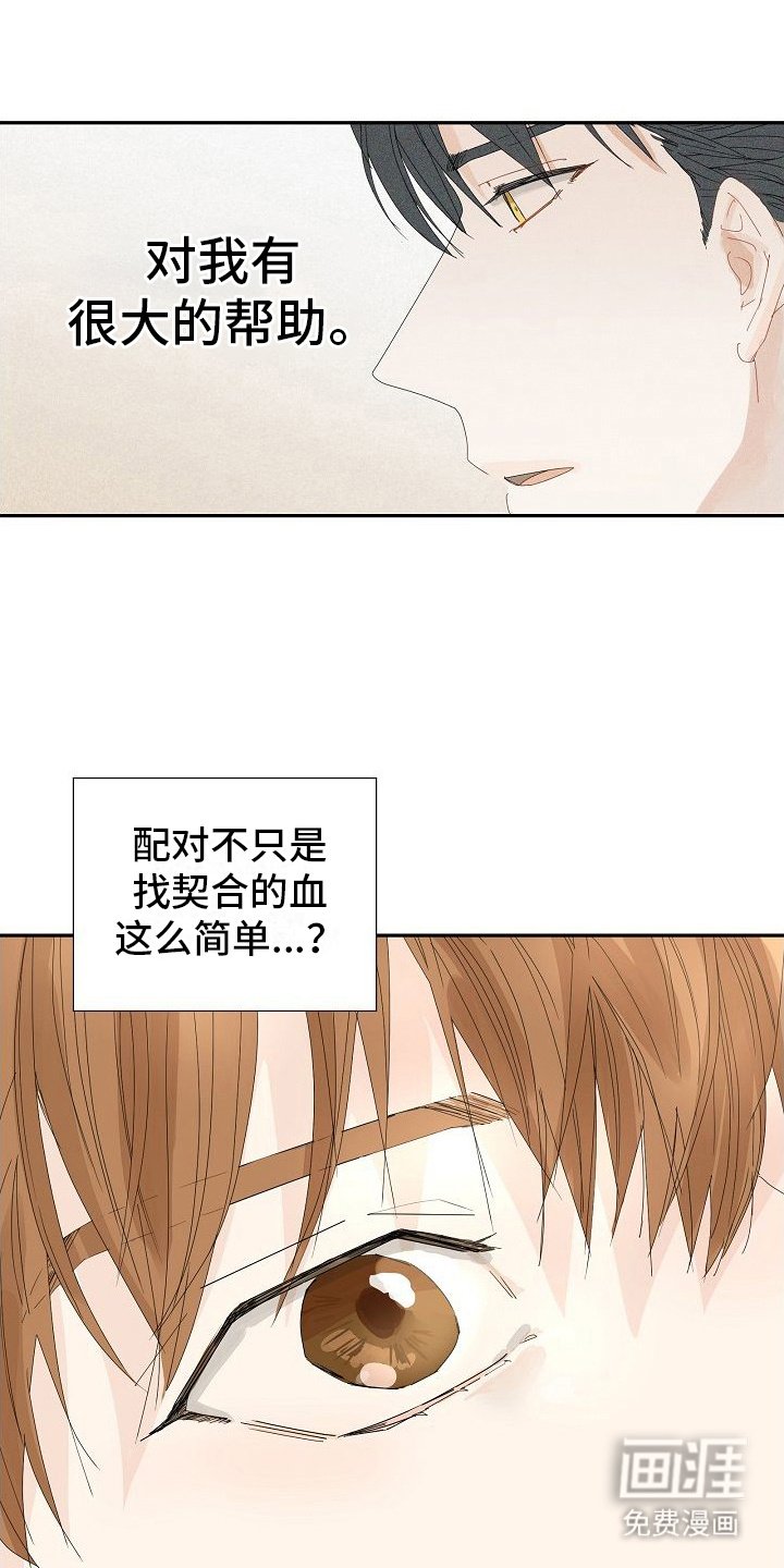 第6章： 配合治疗