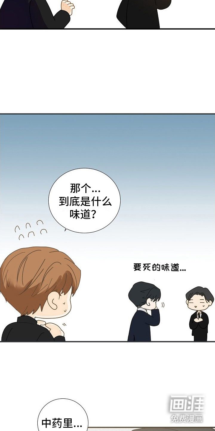 第9章：中药味