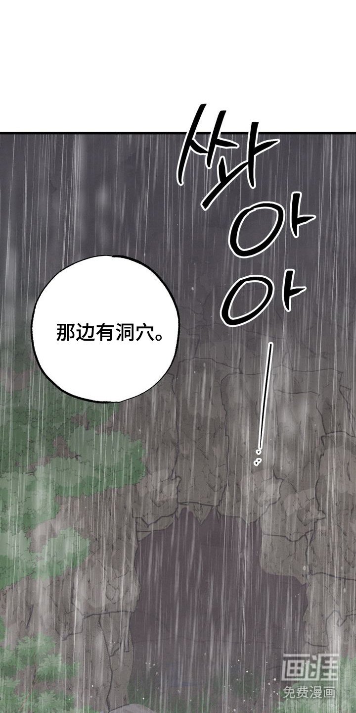 第13章：奇葩