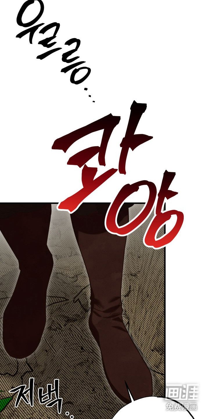 第13章：奇葩