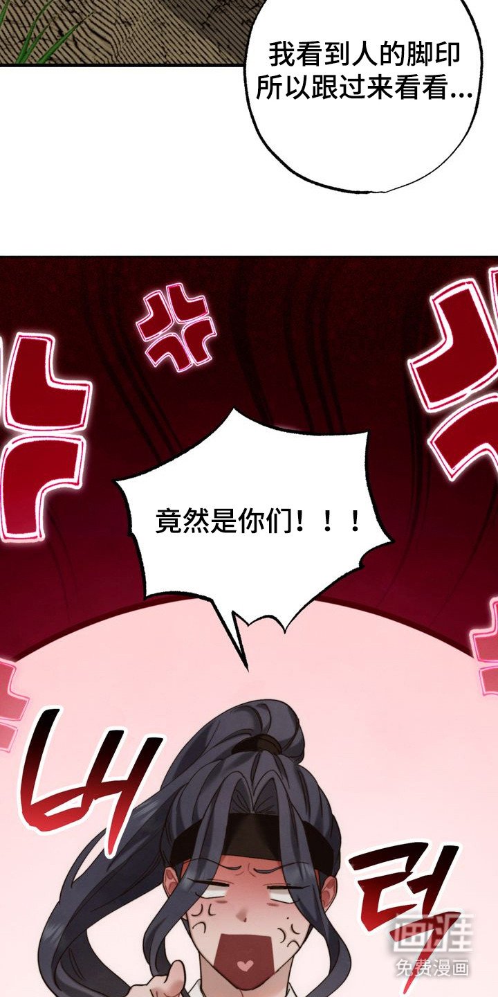 第13章：奇葩