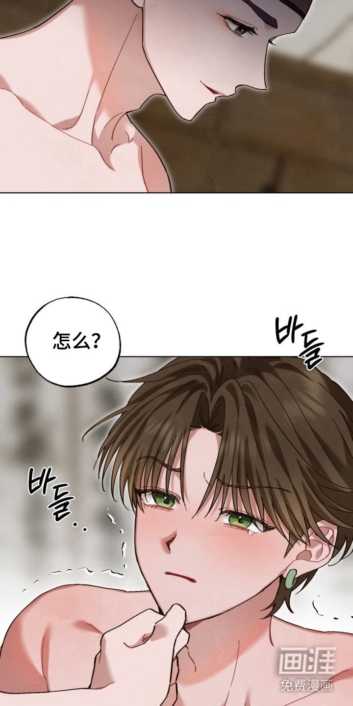 第16章：全是假的