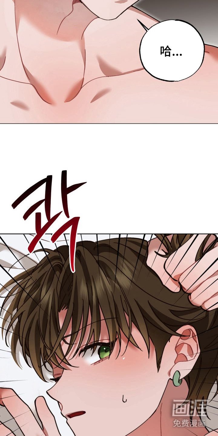 第16章：全是假的