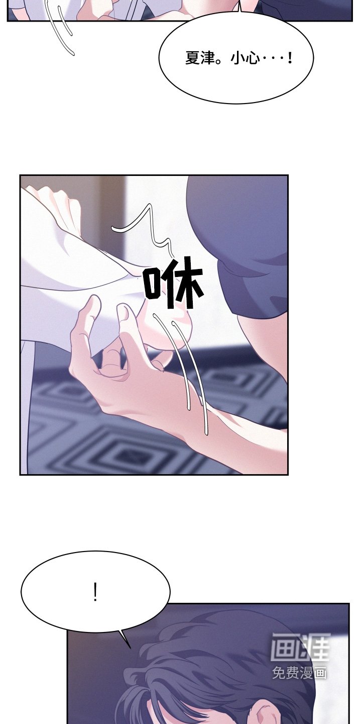 第139章：【第四季】照片