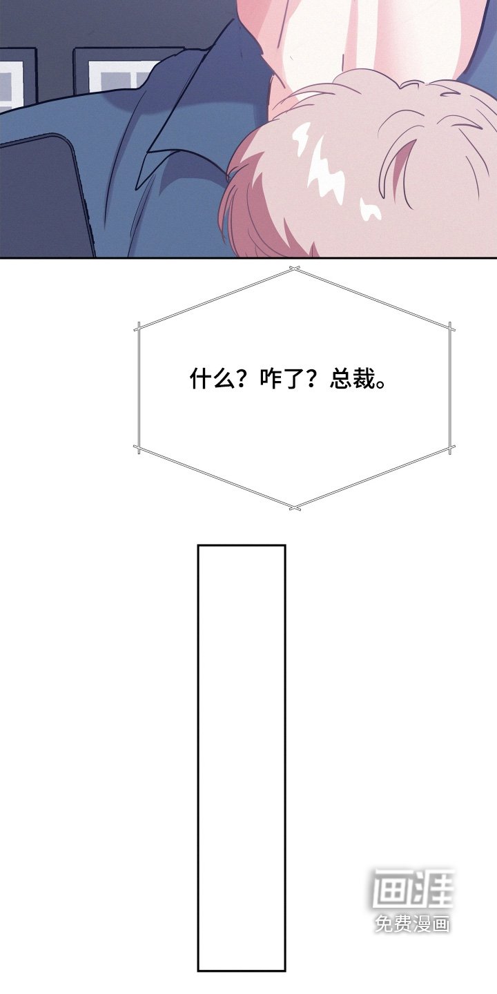 第158章：【第五季】既然怀孕了