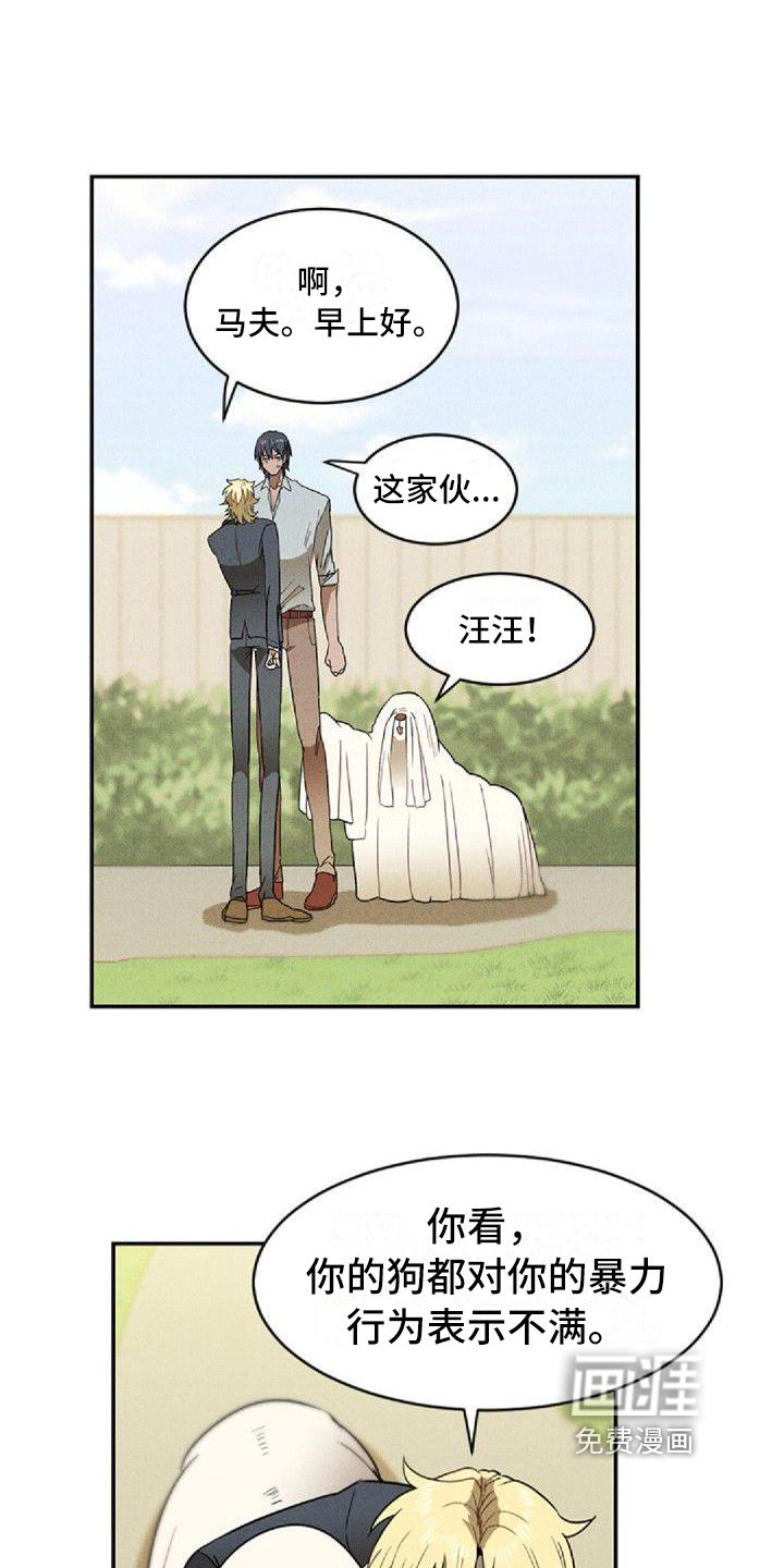 第12章：建议