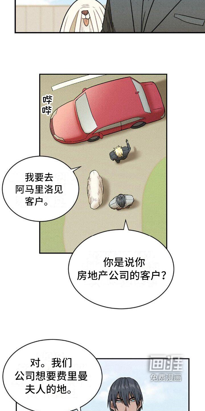 第12章：建议
