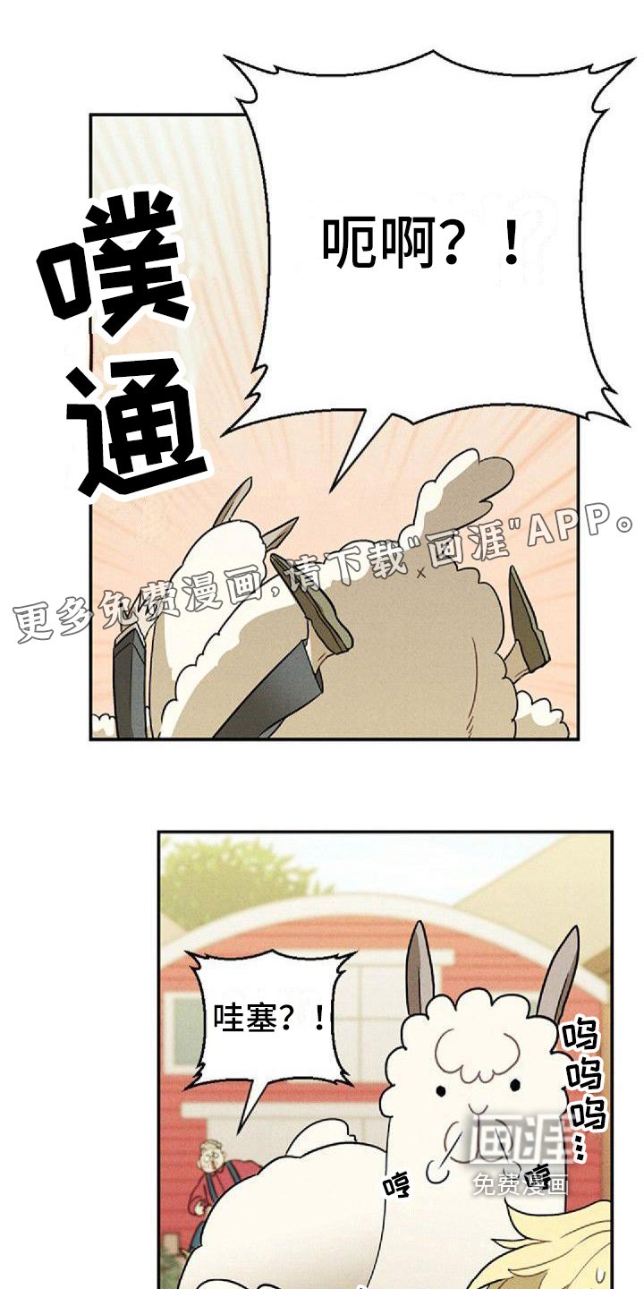 第14章：商谈