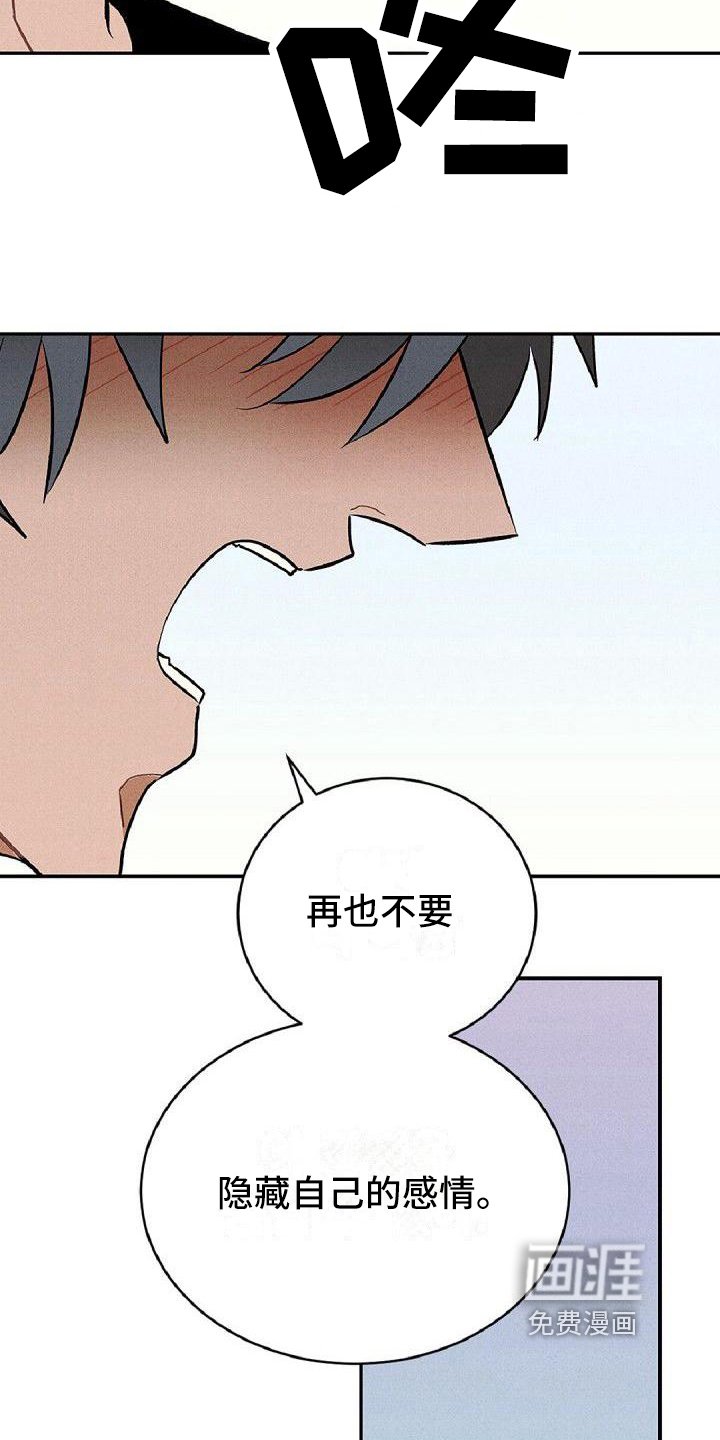 第16章：保护
