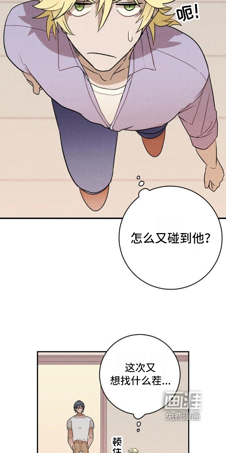 第6章：和解