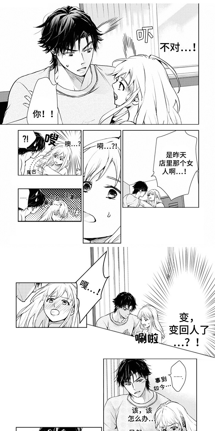 第3章：手忙脚乱