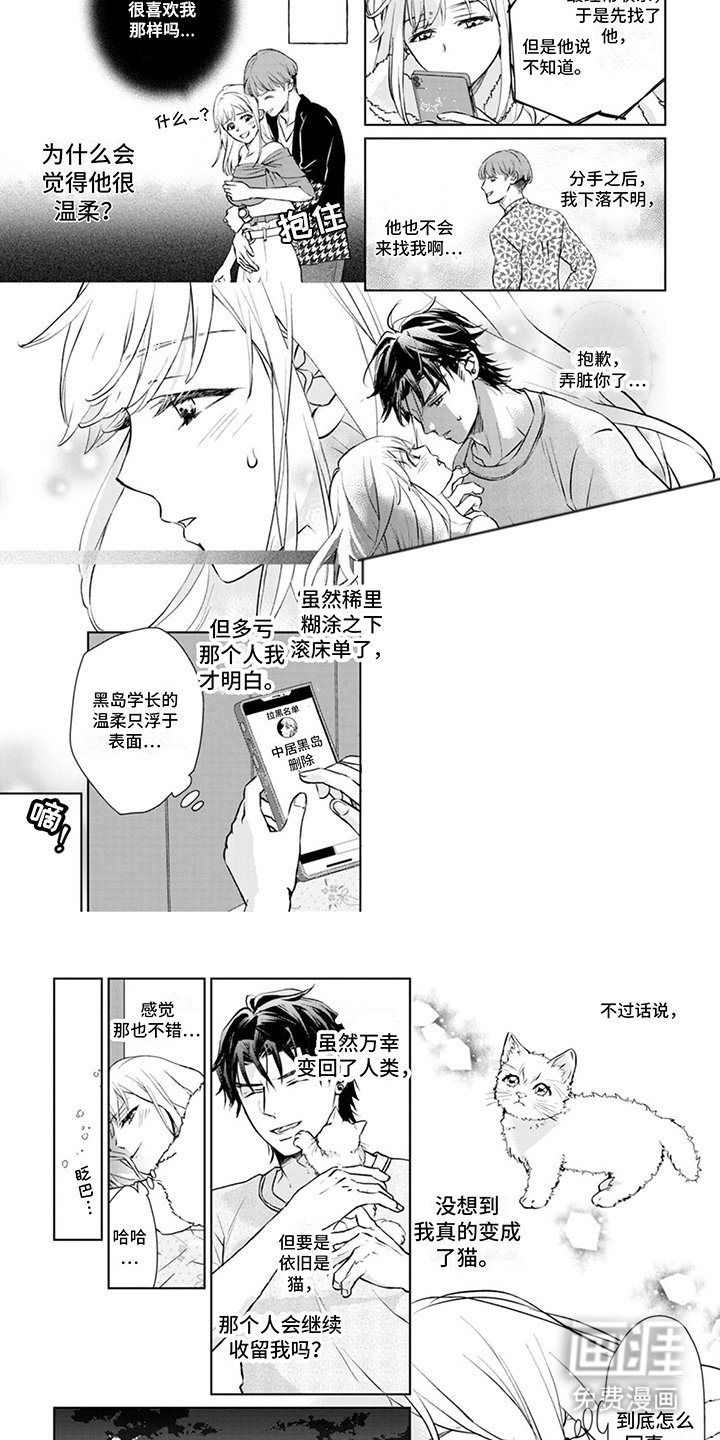 第4章：又来了