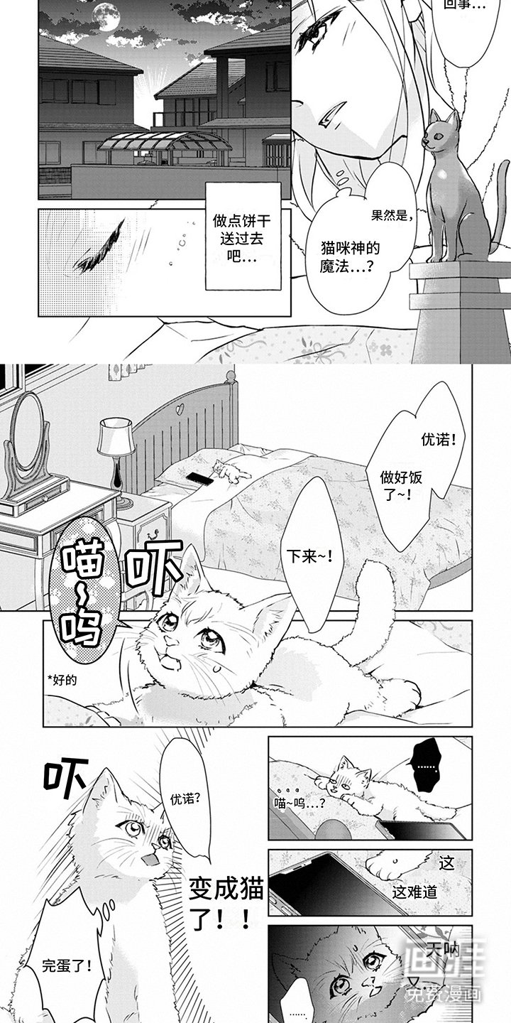 第4章：又来了