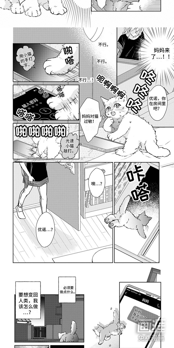 第4章：又来了