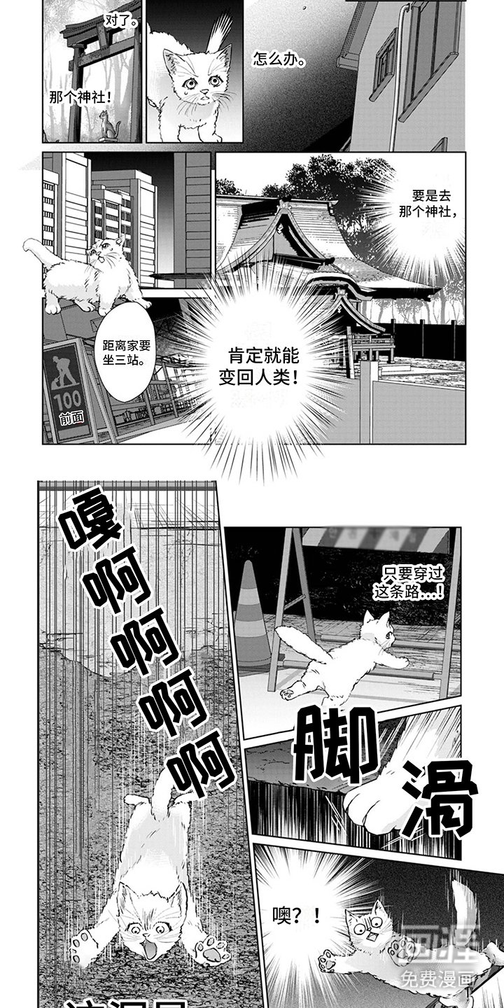 第4章：又来了