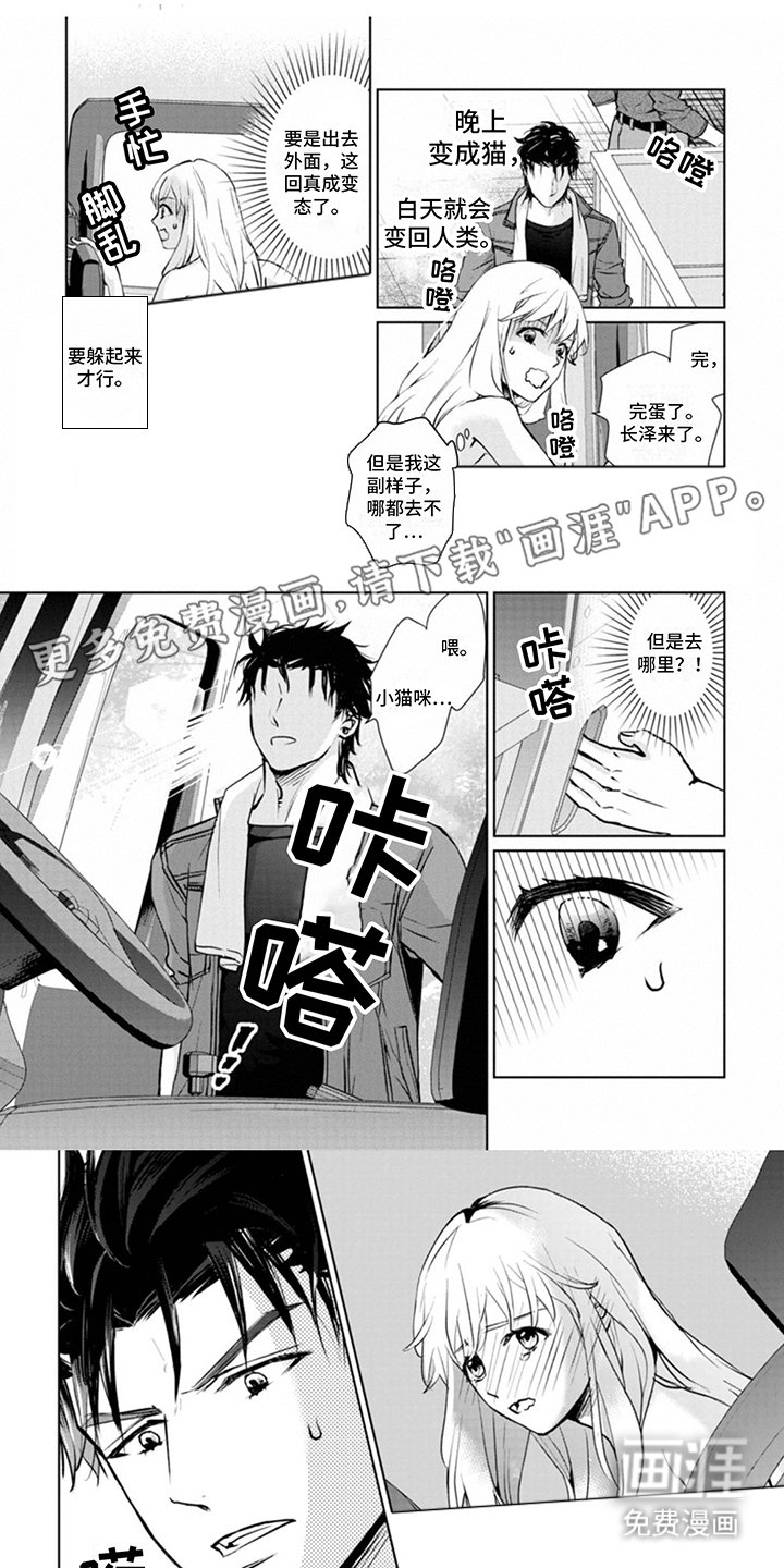 第6章：忍耐