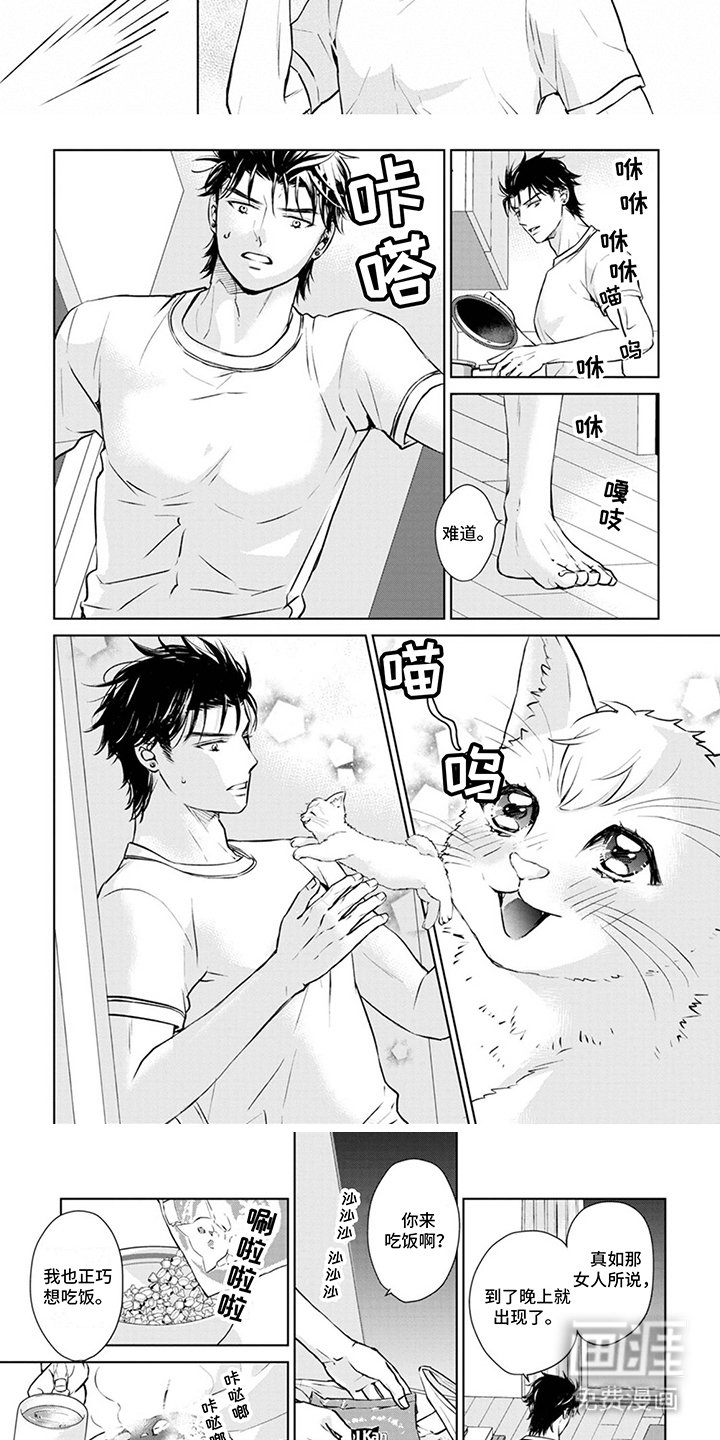第8章：取名