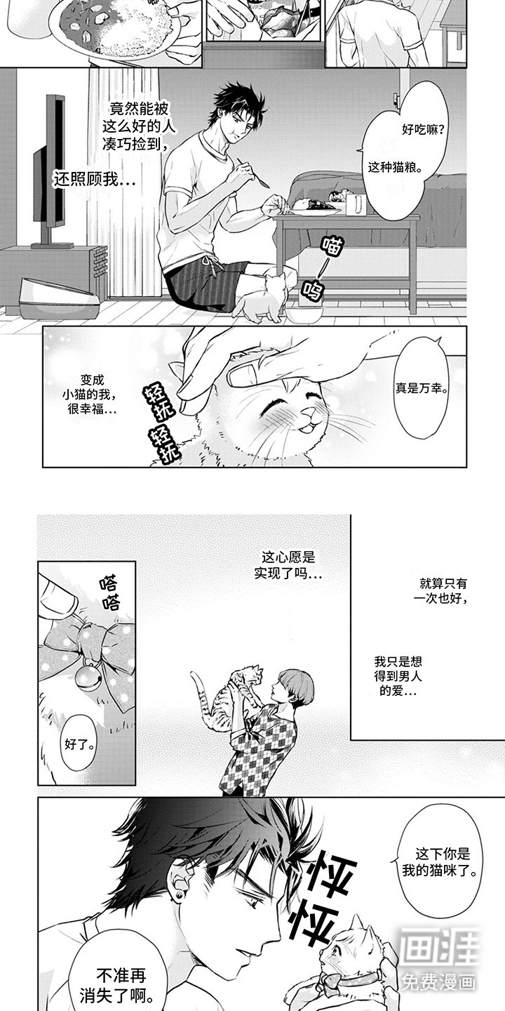 第8章：取名